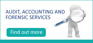 Audit Services