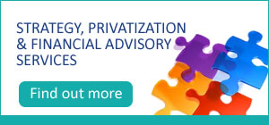 Financial Advisory Services